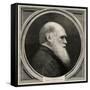 Charles Darwin-null-Framed Stretched Canvas