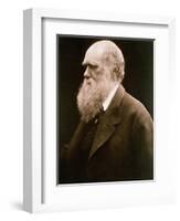 Charles Darwin-Julia Margaret Cameron-Framed Giclee Print