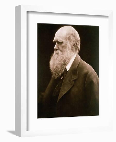 Charles Darwin-Julia Margaret Cameron-Framed Giclee Print