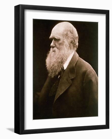 Charles Darwin-Julia Margaret Cameron-Framed Giclee Print