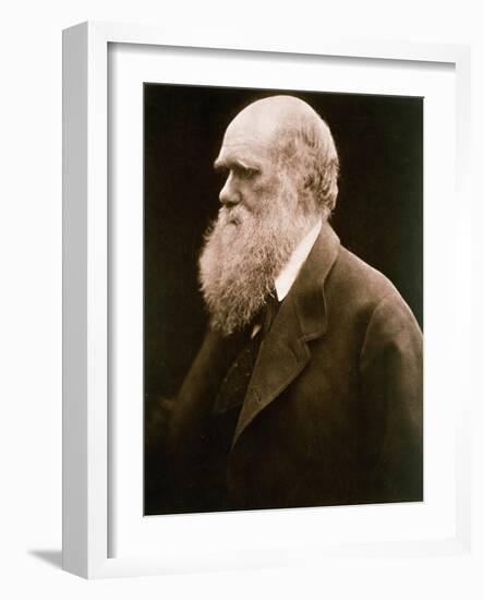 Charles Darwin-Julia Margaret Cameron-Framed Giclee Print