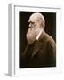 Charles Darwin-Julia Margaret Cameron-Framed Giclee Print