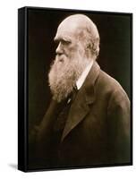 Charles Darwin-Julia Margaret Cameron-Framed Stretched Canvas
