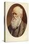 Charles Darwin-null-Stretched Canvas