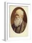 Charles Darwin-null-Framed Giclee Print