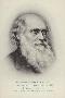 Just the Print
