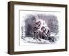 Charles Dickens ' 'Barnaby Rudge'-Hablot Knight Browne-Framed Giclee Print