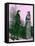 Charles Dickens 's Nicholas Nickleby-Frederick Barnard-Framed Stretched Canvas