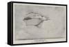 Charles Dickens-John Everett Millais-Framed Stretched Canvas