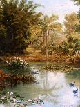 Forest Mirror, Queensland-Charles E Gordon Frazer-Framed Stretched Canvas