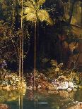 Gully in the Tasmanian Jungle-Charles E Gordon Frazer-Art Print