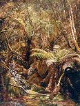 Forest Mirror, Queensland-Charles E Gordon Frazer-Framed Stretched Canvas