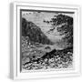 White Frame