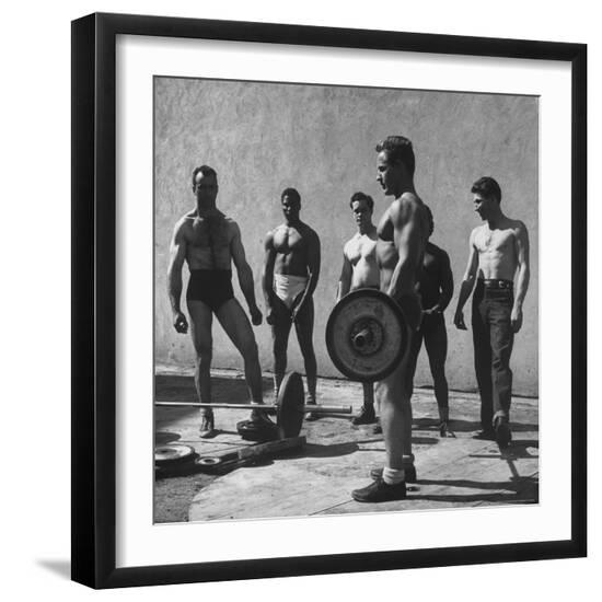 Premium Photographic Print, , large