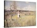 Stretched Canvas
