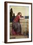 Brown Frame