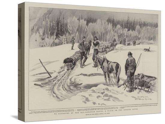 Stretched Canvas Print, , large