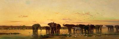 African Elephants-Charles Emile De Tournemine-Giclee Print