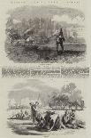 French Agricultural Scenes-Charles Emile Jacque-Giclee Print