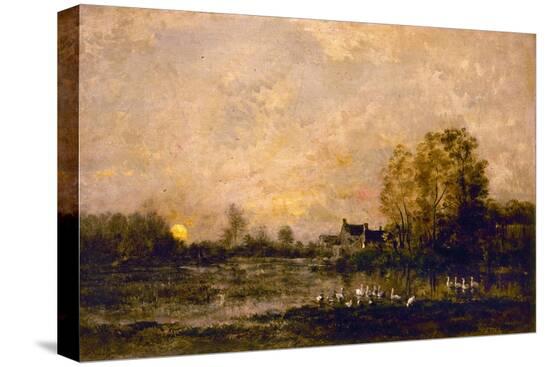Stretched Canvas Print, , large