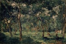 Olive Orchard, Early 1870S-Charles François Daubigny-Framed Stretched Canvas