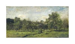 Landscape with a Sunlit Stream, c.1877-Charles-François Daubigny-Premium Giclee Print