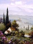 Misty Morning I-Charles Gaul-Stretched Canvas