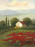 Misty Morning I-Charles Gaul-Stretched Canvas