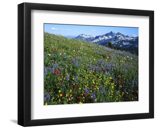 Premium Photographic Print, , large