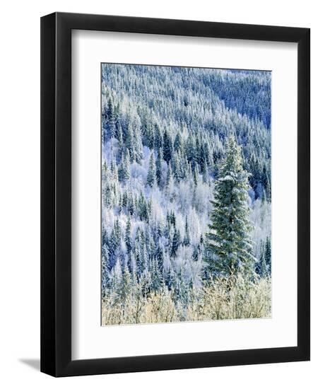 Premium Photographic Print, , large