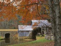 Barn and maple after snowfall, Fairfax County, Virginia, USA-Charles Gurche-Photographic Print
