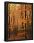 Essential Black