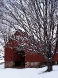 Humpback Covered Bridge, Covington, Virginia, USA-Charles Gurche-Photographic Print