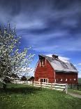 Barn, Ellensburg, Washington, USA-Charles Gurche-Photographic Print