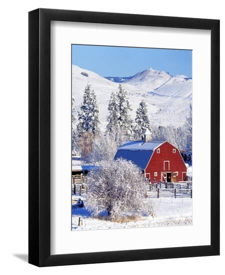 Premium Photographic Print, , large