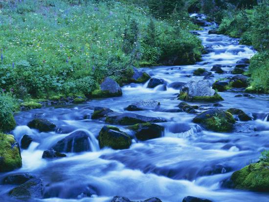 Premium Photographic Print, , large