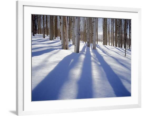 Framed Photographic Print, , large