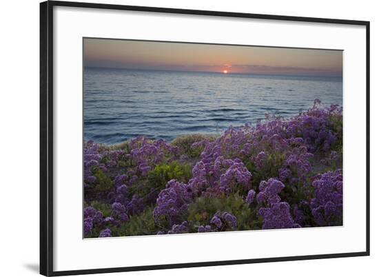 Framed Photographic Print, , large