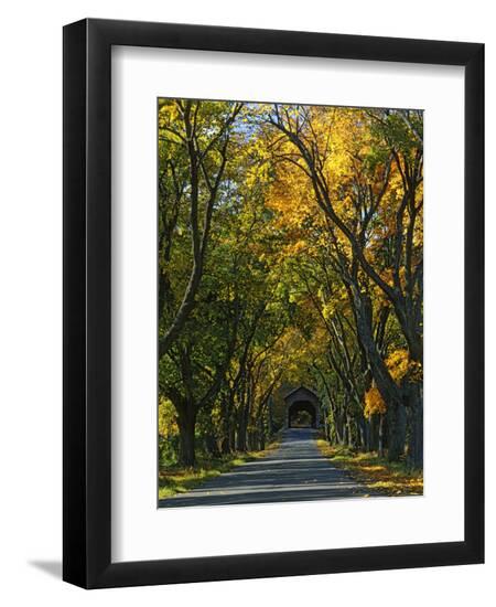 Premium Photographic Print, , large