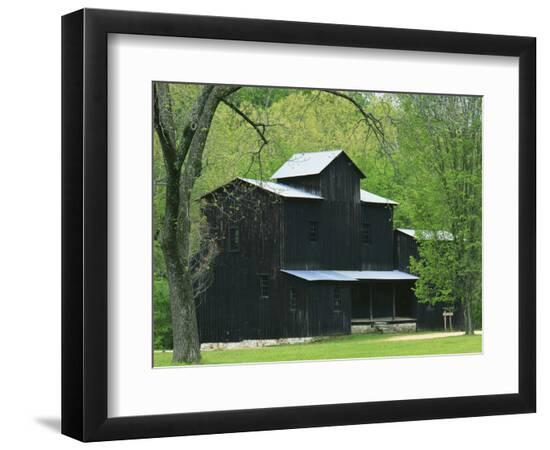 Photographic Print, , large