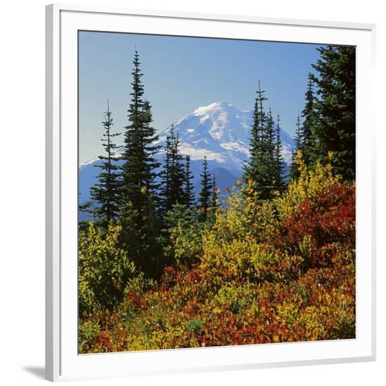 Framed Photographic Print, , large