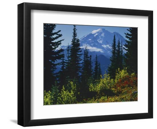 Premium Photographic Print, , large