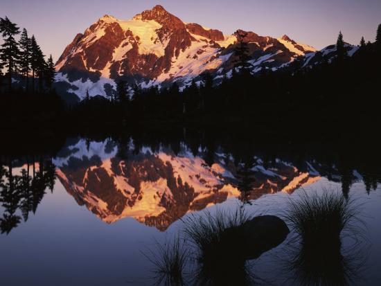 Premium Photographic Print, , large