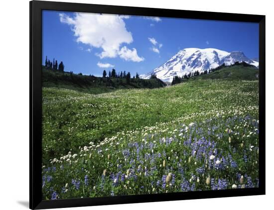 Premium Photographic Print, , large