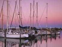 Sailboats at Dusk, Chesapeake Bay, Virginia, USA-Charles Gurche-Photographic Print