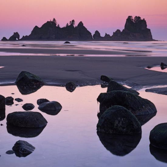 Premium Photographic Print, , large