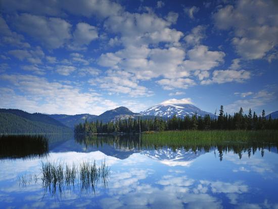 Premium Photographic Print, , large