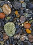 Stones, Lopez Island, Agate Beach County, Washington, USA-Charles Gurche-Photographic Print
