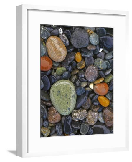 Framed Photographic Print, , large