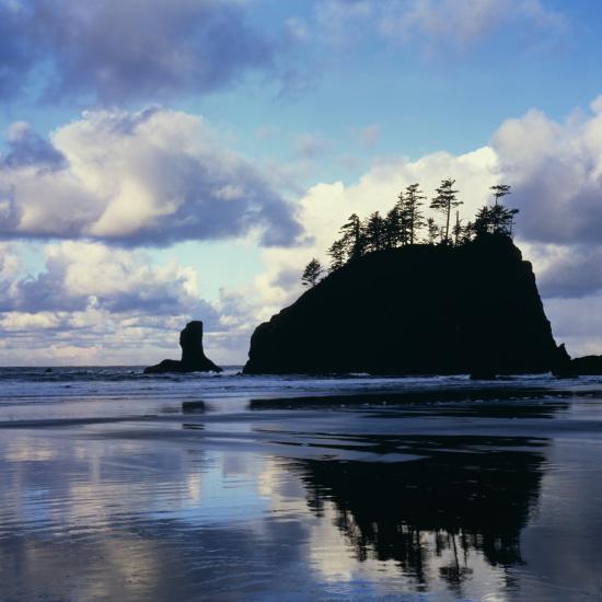 Premium Photographic Print, , large